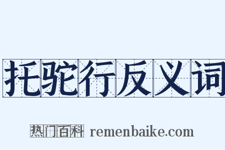 托驼行反义词是什么意思的图片